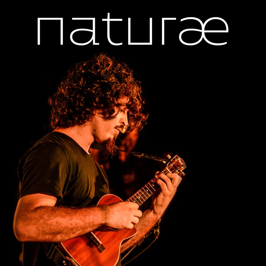 Capa de naturae